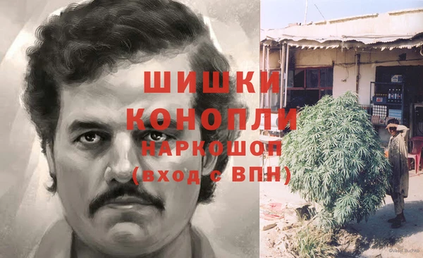 соль ск Тавда